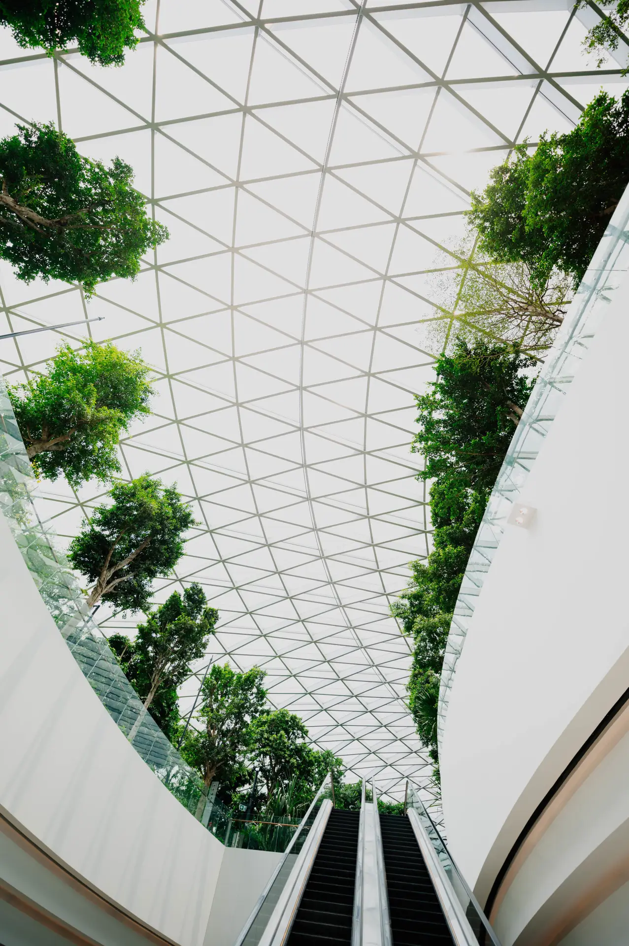 Building, architecture, window and skylight | HD photo by chuttersnap